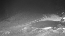 Běžecký lyžařský areál Nová Ves