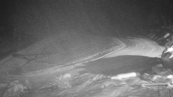 Běžecký lyžařský areál Nová Ves