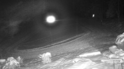 Běžecký lyžařský areál Nová Ves