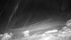 Běžecký lyžařský areál Nová Ves