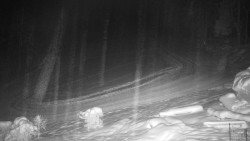 Běžecký lyžařský areál Nová Ves