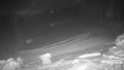 Běžecký lyžařský areál Nová Ves