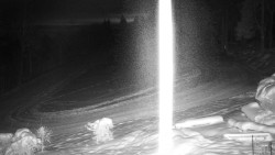 Běžecký lyžařský areál Nová Ves