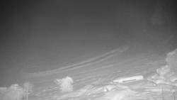 Běžecký lyžařský areál Nová Ves