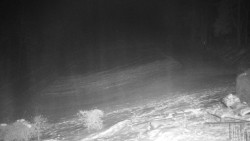 Běžecký lyžařský areál Nová Ves