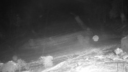 Běžecký lyžařský areál Nová Ves