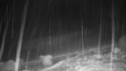 Běžecký lyžařský areál Nová Ves