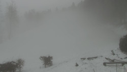 Běžecký lyžařský areál Nová Ves