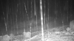 Běžecký lyžařský areál Nová Ves