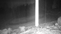 Běžecký lyžařský areál Nová Ves