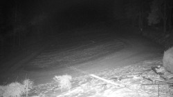 Běžecký lyžařský areál Nová Ves