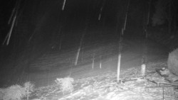 Běžecký lyžařský areál Nová Ves