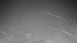 Běžecký lyžařský areál Nová Ves