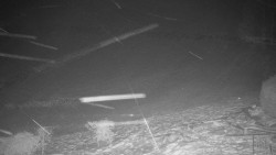 Běžecký lyžařský areál Nová Ves