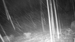 Běžecký lyžařský areál Nová Ves