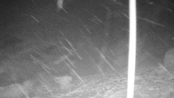 Běžecký lyžařský areál Nová Ves