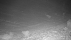 Běžecký lyžařský areál Nová Ves