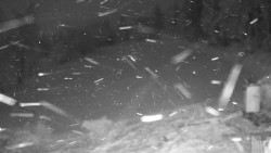 Běžecký lyžařský areál Nová Ves