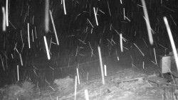 Běžecký lyžařský areál Nová Ves