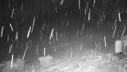 Běžecký lyžařský areál Nová Ves