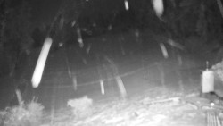 Běžecký lyžařský areál Nová Ves