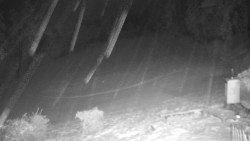 Běžecký lyžařský areál Nová Ves