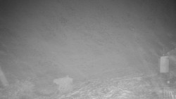 Běžecký lyžařský areál Nová Ves