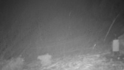 Běžecký lyžařský areál Nová Ves