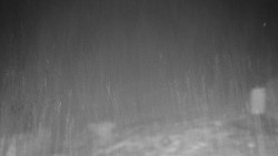 Běžecký lyžařský areál Nová Ves