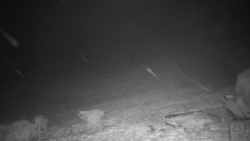 Běžecký lyžařský areál Nová Ves