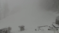 Běžecký lyžařský areál Nová Ves