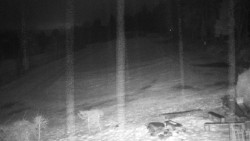 Běžecký lyžařský areál Nová Ves