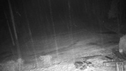 Běžecký lyžařský areál Nová Ves