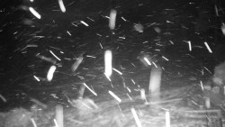 Běžecký lyžařský areál Nová Ves