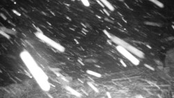 Běžecký lyžařský areál Nová Ves