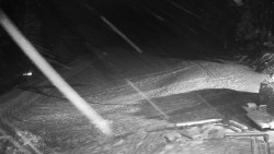 Běžecký lyžařský areál Nová Ves