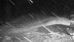 Běžecký lyžařský areál Nová Ves