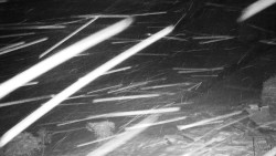 Běžecký lyžařský areál Nová Ves