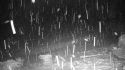 Běžecký lyžařský areál Nová Ves