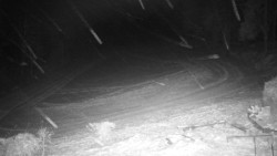 Běžecký lyžařský areál Nová Ves