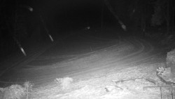 Běžecký lyžařský areál Nová Ves