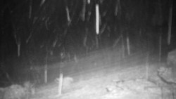 Běžecký lyžařský areál Nová Ves