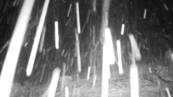 Běžecký lyžařský areál Nová Ves