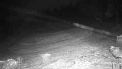 Běžecký lyžařský areál Nová Ves