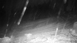 Běžecký lyžařský areál Nová Ves