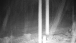 Běžecký lyžařský areál Nová Ves