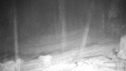 Běžecký lyžařský areál Nová Ves