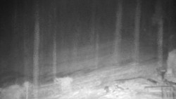 Běžecký lyžařský areál Nová Ves