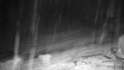 Běžecký lyžařský areál Nová Ves