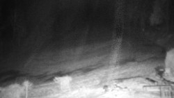 Běžecký lyžařský areál Nová Ves